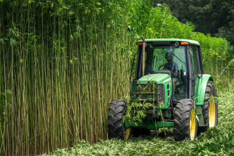 Open Gates, Open Books: How American Farmers Are Building Profitable Visitor Economies Around Working Land
