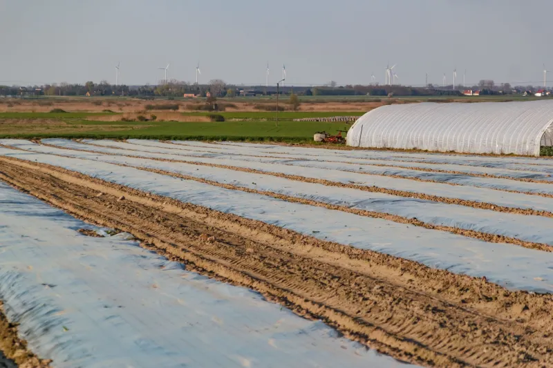 Two Harvests, One Field: How Agrivoltaics Is Rewriting the Economics of American Farmland